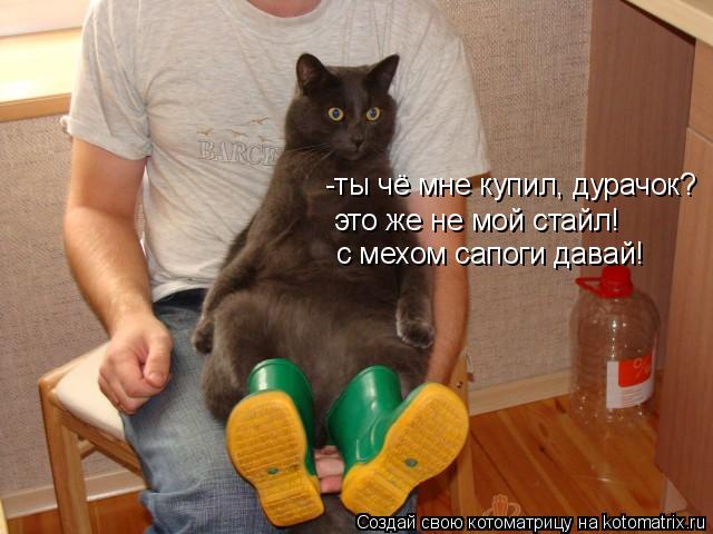 -ты чё мне купил, дурачок? это же не мой стайл! с мехом сапоги давай!... Котоматрица: -ты чё мне купил, дурачок? это же не мой стайл! с мехом сапоги давай!