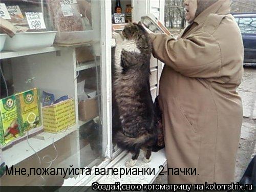 Мне,пожалуйста валерианки 2 пачки.... Котоматрица: Мне,пожалуйста валерианки 2 пачки.