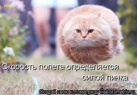 Скорость полета определяется силой пинка... Котоматрица: Скорость полета определяется силой пинка