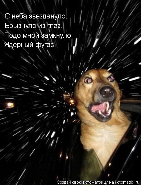 С неба звездануло. Брызнуло из глаз. Подо мной замкнуло Ядерный фугас.... Котоматрица: С неба звездануло. Брызнуло из глаз. Подо мной замкнуло Ядерный фугас.
