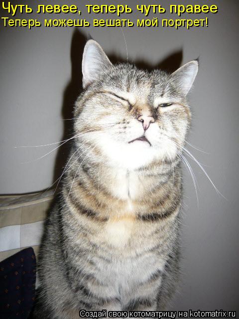 Чуть левее, теперь чуть правее Теперь можешь вешать мой портрет!... Котоматрица: Чуть левее, теперь чуть правее Теперь можешь вешать мой портрет!