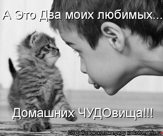 Домашних ЧУДОвища!!! А Это Два моих любимых...... Котоматрица: Домашних ЧУДОвища!!! А Это Два моих любимых...
