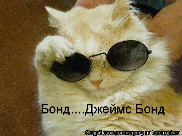 Котоматрица: Бонд....Джеймс Бонд