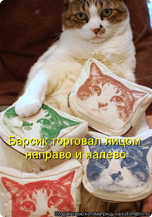 Котоматрица: Барсик торговал лицом направо и налево