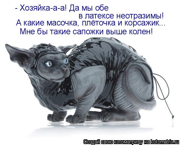 Котоматрица: - Хозяйка-а-а! Да мы обе в латексе неотразимы! Мне бы такие сапожки выше колен! А какие масочка, плёточка и корсажик...