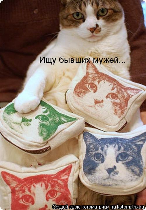 Котоматрица: Ищу бывших мужей...