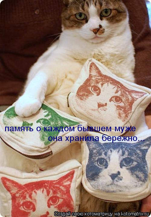 Котоматрица: память о каждом бывшем муже  она хранила бережно...