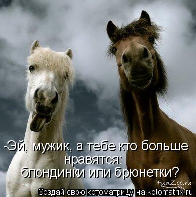 Котоматрица: -Эй, мужик, а тебе кто больше нравятся: блондинки или брюнетки?