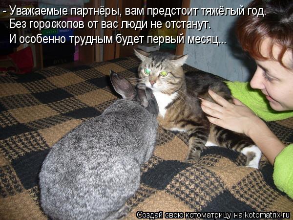 Котоматрица: - Уважаемые партнёры, вам предстоит тяжёлый год. Без гороскопов от вас люди не отстанут. И особенно трудным будет первый месяц...