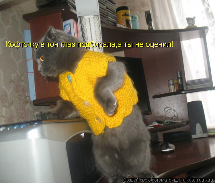 Кофточку в тон глаз подбирала,а ты не оценил!... Котоматрица: Кофточку в тон глаз подбирала,а ты не оценил!