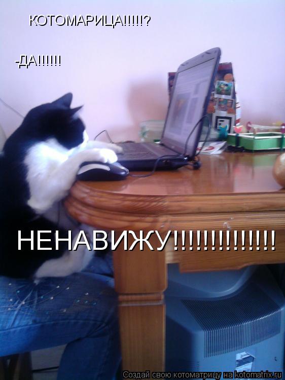 КОТОМАРИЦА!!!!!? НЕНАВИЖУ!!!!!!!!!!!!!! -ДА!!!!!!... Котоматрица: КОТОМАРИЦА!!!!!? НЕНАВИЖУ!!!!!!!!!!!!!! -ДА!!!!!!