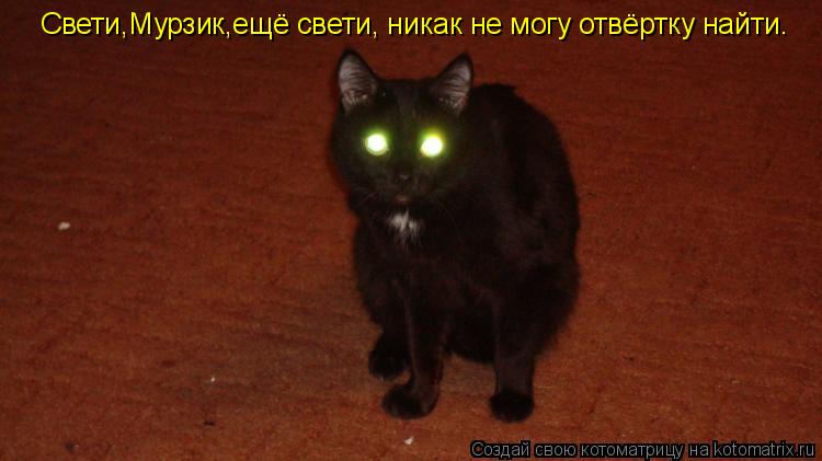 Свети,Мурзик,ещё свети, никак не могу отвёртку найти.... Котоматрица: Свети,Мурзик,ещё свети, никак не могу отвёртку найти.