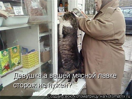 Девушка,а вашей мясной лавке сторож не нужен?... Котоматрица: Девушка,а вашей мясной лавке сторож не нужен?