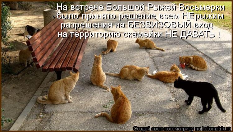На встрече Большой Рыжей Восьмерки было принято решение всем НЕрыжим на территорию скамейки НЕ ДАВАТЬ... Котоматрица: На встрече Большой Рыжей Восьмерки было принято решение всем НЕрыжим на территорию скамейки НЕ ДАВАТЬ ! разрешения на БЕЗВИЗОВЫЙ вход