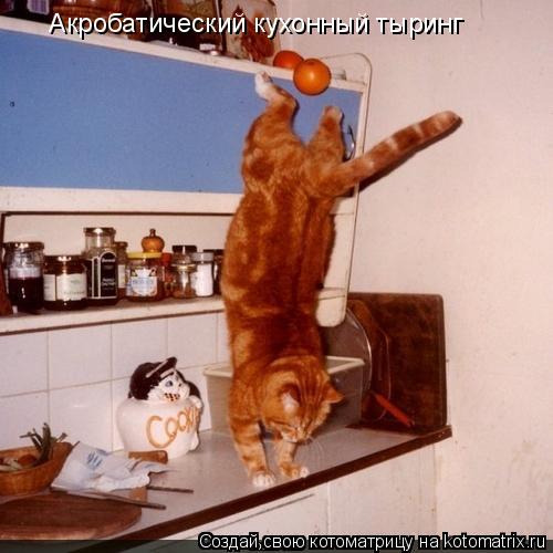Акробатический кухонный тыринг... Котоматрица: Акробатический кухонный тыринг