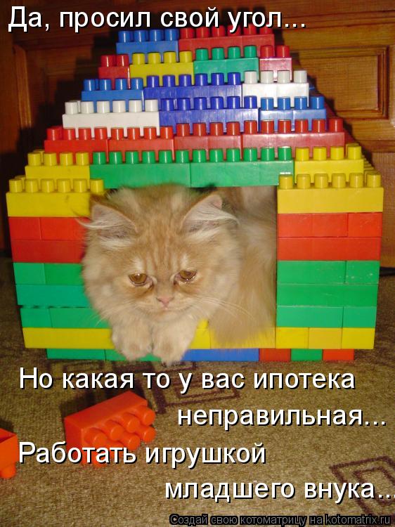 Да, просил свой угол... Но какая то у вас ипотека неправильная... Работать игрушкой младшего внука... Котоматрица: Да, просил свой угол... Но какая то у вас ипотека неправильная... Работать игрушкой младшего внука...