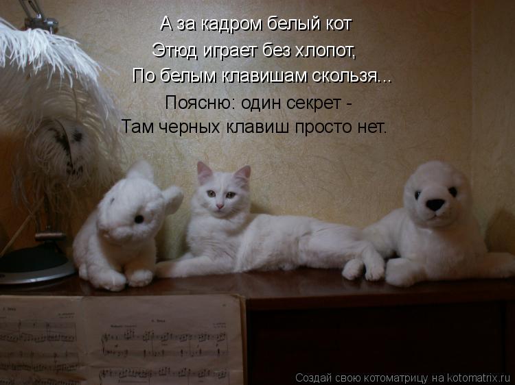 А за кадром белый кот Этюд играет без хлопот, По белым клавишам скользя... Поясню: один секрет - Там ... Котоматрица: А за кадром белый кот Этюд играет без хлопот, По белым клавишам скользя... Поясню: один секрет - Там черных клавиш просто нет.