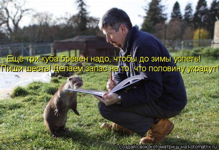 - Ещё три куба брёвен надо, чтобы до зимы успеть! Пиши шесть! Делаем запас на то, что половину украду... Котоматрица: - Ещё три куба брёвен надо, чтобы до зимы успеть! Пиши шесть! Делаем запас на то, что половину украдут!