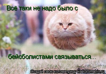 Всё таки не надо было с бейсболистами связываться...... Котоматрица: Всё таки не надо было с бейсболистами связываться...
