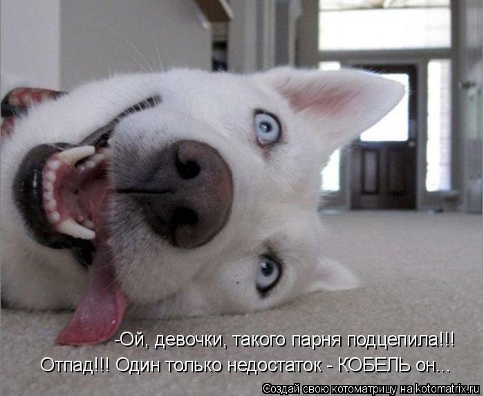 -Ой, девочки, такого парня подцепила!!! Отпад!!! Один только недостаток - КОБЕЛЬ он...... Котоматрица: -Ой, девочки, такого парня подцепила!!! Отпад!!! Один только недостаток - КОБЕЛЬ он...
