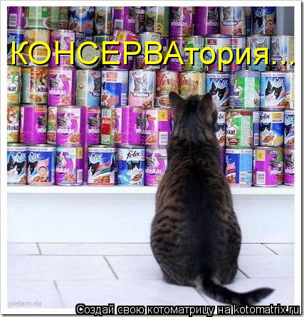 КОНСЕРВАтория...... Котоматрица: КОНСЕРВАтория...