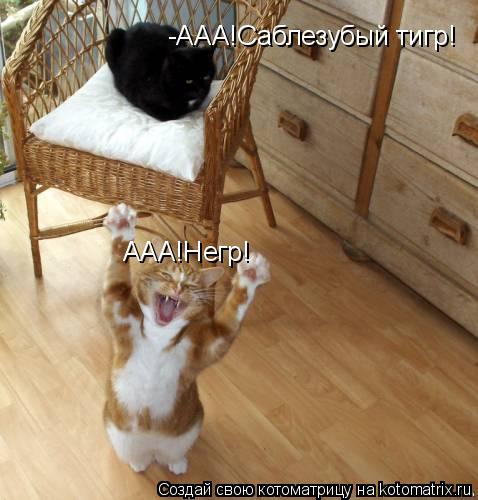 -ААА!Саблезубый тигр! ААА!Негр!... Котоматрица: -ААА!Саблезубый тигр! ААА!Негр!