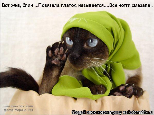 Вот жеж, блин....Повязала платок, называется....Все ногти смазала..... Котоматрица: Вот жеж, блин....Повязала платок, называется....Все ногти смазала..