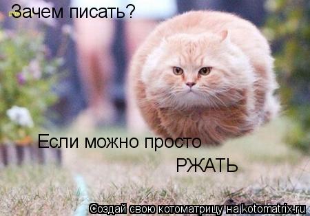 Зачем писать? Если можно просто РЖАТЬ... Котоматрица: Зачем писать? Если можно просто РЖАТЬ