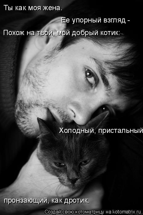 Ты как моя жена. Ее упорный взгляд - Похож на твой, мой добрый котик: Холодный, пристальный, прон... Котоматрица: Ты как моя жена. Ее упорный взгляд - Похож на твой, мой добрый котик: Холодный, пристальный, пронзающий, как дротик.