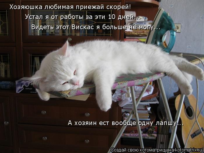 Хозяюшка любимая приежай скорей! Устал я от работы за эти 10 дней... Видеть этот Вискас я больше не м... Котоматрица: Хозяюшка любимая приежай скорей! Устал я от работы за эти 10 дней... Видеть этот Вискас я больше не могу... А хозяин ест вообще одну лапшу...