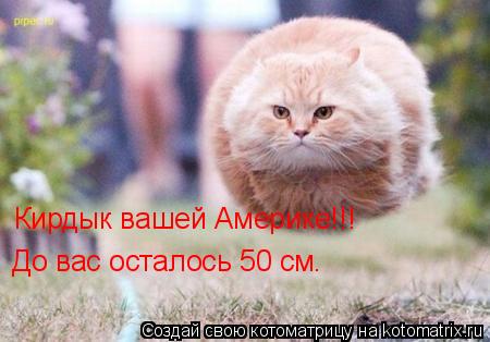 Кирдык вашей Америке!!! До вас осталось 50 см.... Котоматрица: Кирдык вашей Америке!!! До вас осталось 50 см.
