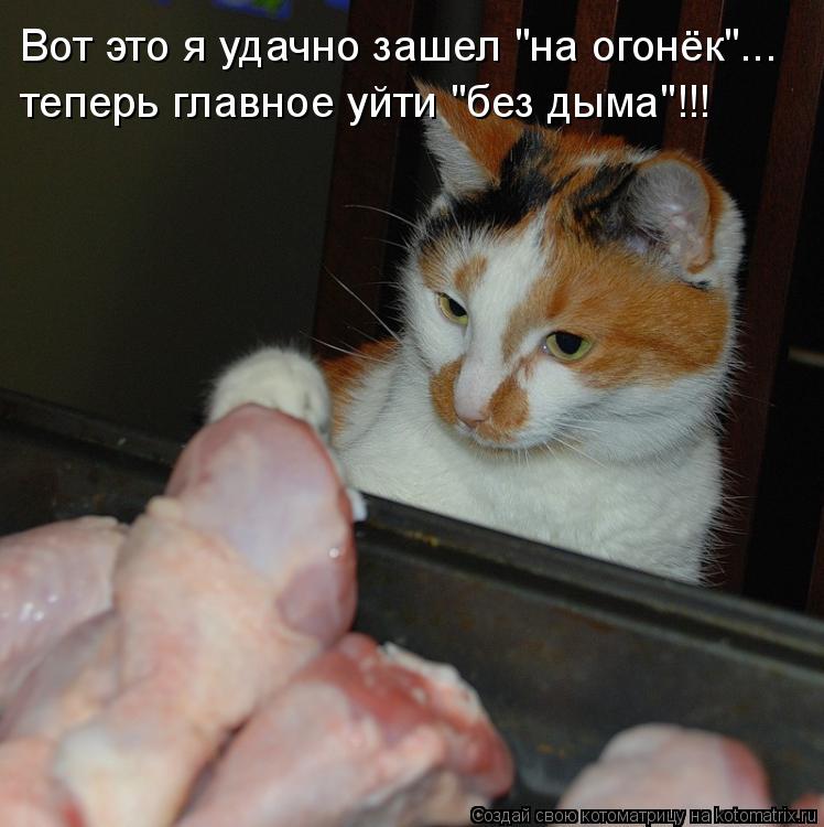 Котоматрица: Вот это я удачно зашел "на огонёк"... теперь главное уйти "без дыма"!!!