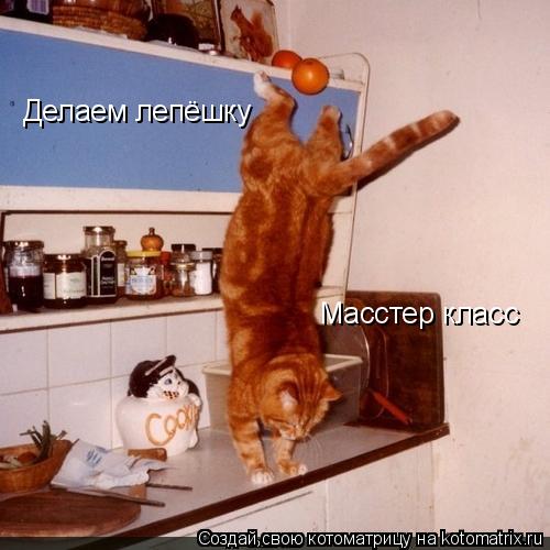 Котоматрица: Делаем лепёшку Масстер класс