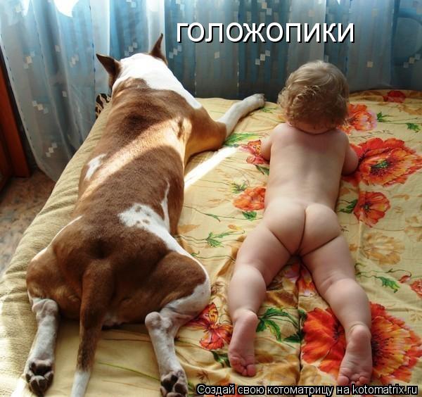 Котоматрица: голожопики
