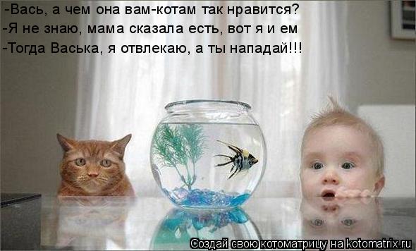 -Вась, а чем она вам-котам так нравится? -Я не знаю, мама сказала есть, вот я и ем -Тогда Васька, я о... Котоматрица: -Вась, а чем она вам-котам так нравится? -Я не знаю, мама сказала есть, вот я и ем -Тогда Васька, я отвлекаю, а ты нападай!!!