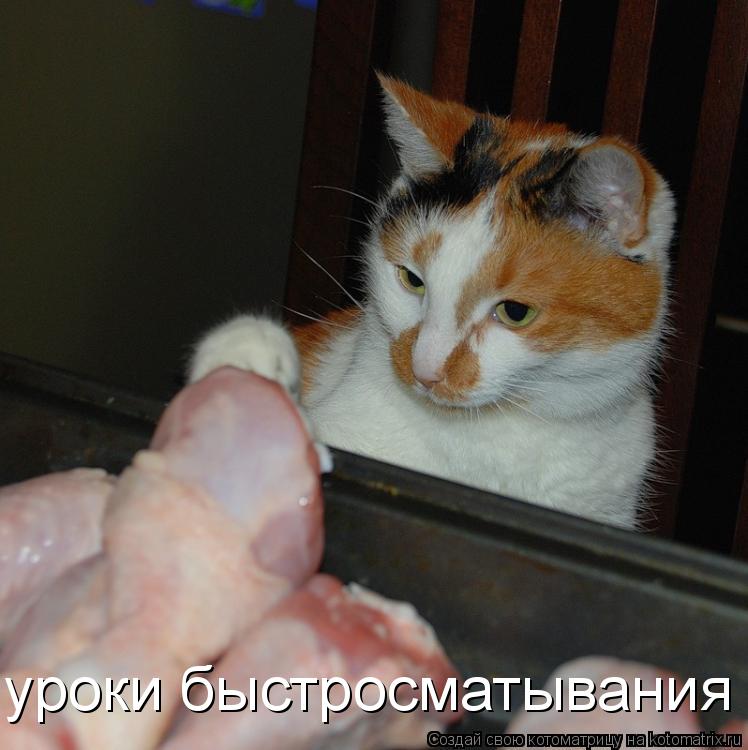 уроки быстросматывания... Котоматрица: уроки быстросматывания