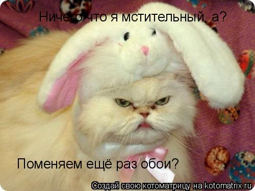 Ничего что я мстительный, а? Поменяем ещё раз обои?... Котоматрица: Ничего что я мстительный, а? Поменяем ещё раз обои?
