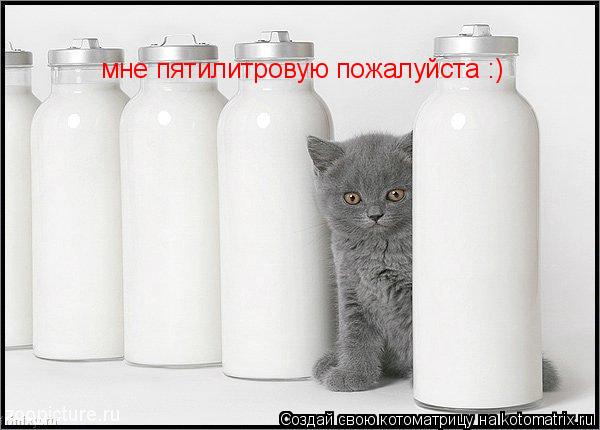 мне пятилитровую пожалуйста :)... Котоматрица: мне пятилитровую пожалуйста :)