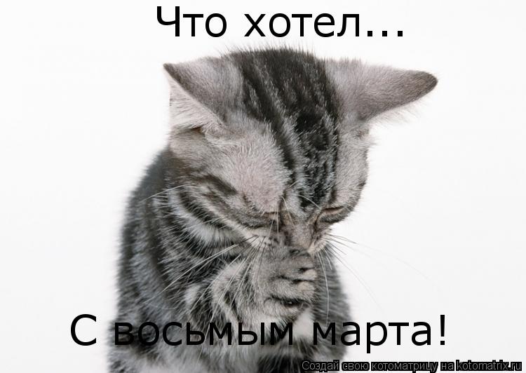 Что хотел... С восьмым марта!... Котоматрица: Что хотел... С восьмым марта!