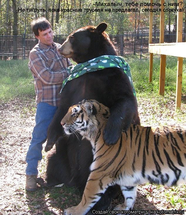 -Михалыч, тебе помочь с ним? -Не тигруль, пока красные труселя не предлагал, сегодня спокуха!... Котоматрица: -Михалыч, тебе помочь с ним? -Не тигруль, пока красные труселя не предлагал, сегодня спокуха!