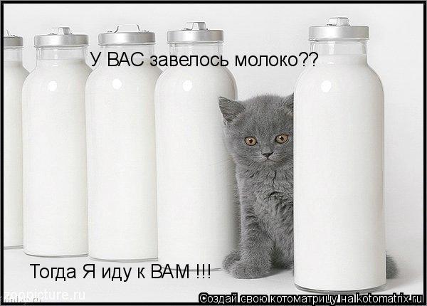У ВАС завелось молоко?? Тогда Я иду к ВАМ !!!... Котоматрица: У ВАС завелось молоко?? Тогда Я иду к ВАМ !!!
