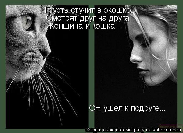 Грусть стучит в окошко... Смотрят друг на друга ОН ушел к подруге... Женщина и кошка...... Котоматрица: Грусть стучит в окошко... Смотрят друг на друга ОН ушел к подруге... Женщина и кошка...