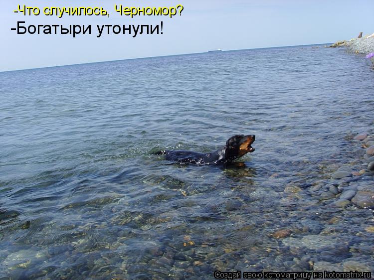 Котоматрица: -Что случилось, Черномор? -Богатыри утонули!
