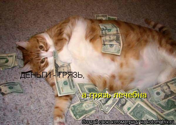 ДЕНЬГИ - ГРЯЗЬ, а грязь лечебна... Котоматрица: ДЕНЬГИ - ГРЯЗЬ, а грязь лечебна