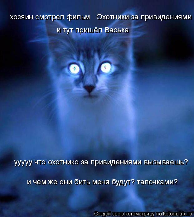 хозяин смотрел фильм Охотники за привидениями и тут пришёл Васька ууууу что охотнико за привидениям... Котоматрица: хозяин смотрел фильм Охотники за привидениями и тут пришёл Васька ууууу что охотнико за привидениями вызываешь? и чем же они бить меня буд