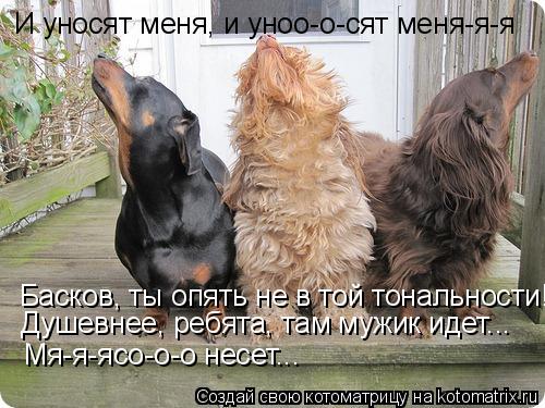 И уносят меня, и уноо-о-сят меня-я-я Басков, ты опять не в той тональности! Душевнее, ребята, там муж... Котоматрица: И уносят меня, и уноо-о-сят меня-я-я Басков, ты опять не в той тональности! Душевнее, ребята, там мужик идет... Мя-я-ясо-о-о несет...