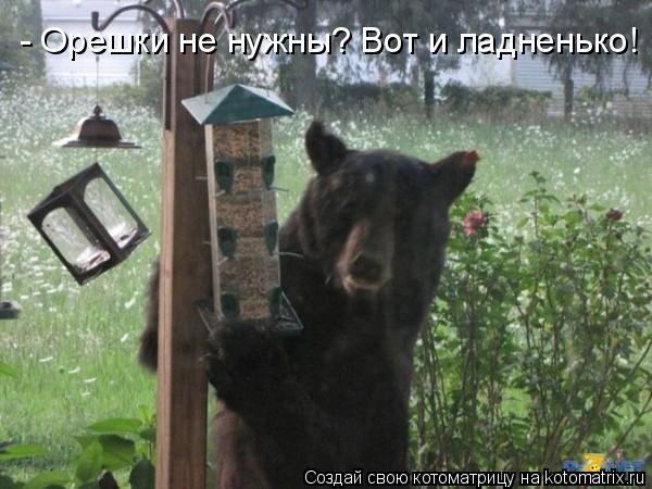 Котоматрица: - Орешки не нужны? Вот и ладненько!