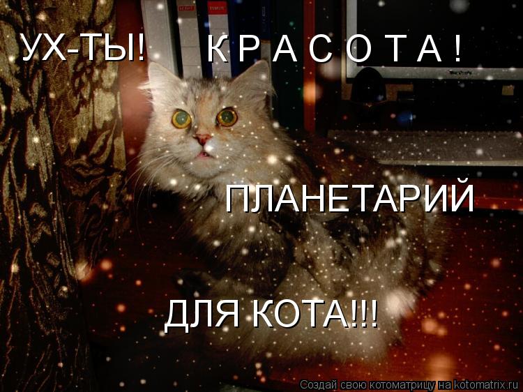 УХ-ТЫ! К Р А С О Т А ! ПЛАНЕТАРИЙ ДЛЯ КОТА!!!... Котоматрица: УХ-ТЫ! К Р А С О Т А ! ПЛАНЕТАРИЙ ДЛЯ КОТА!!!