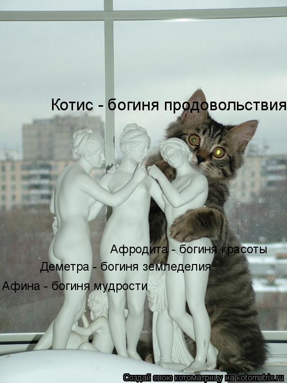 Афина - богиня мудрости Деметра - богиня земледелия Афродита - богиня красоты Котис - богиня продовол... Котоматрица: Афина - богиня мудрости Деметра - богиня земледелия Афродита - богиня красоты Котис - богиня продовольствия