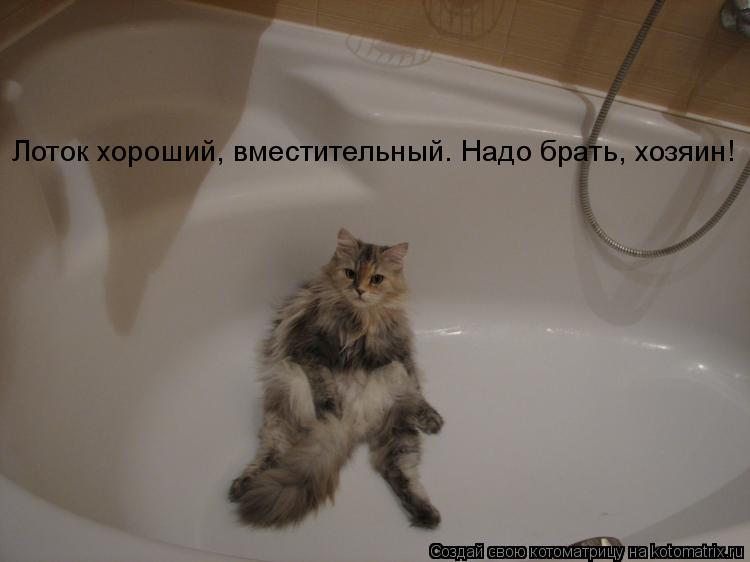 Лоток хороший, вместительный. Надо брать, хозяин!... Котоматрица: Лоток хороший, вместительный. Надо брать, хозяин!